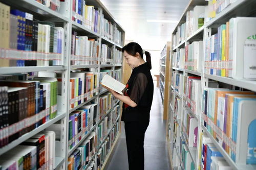 包河 一座城市的文学与艺术呼吸之地